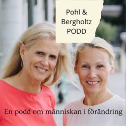 cover art for Pohl & Bergholtz