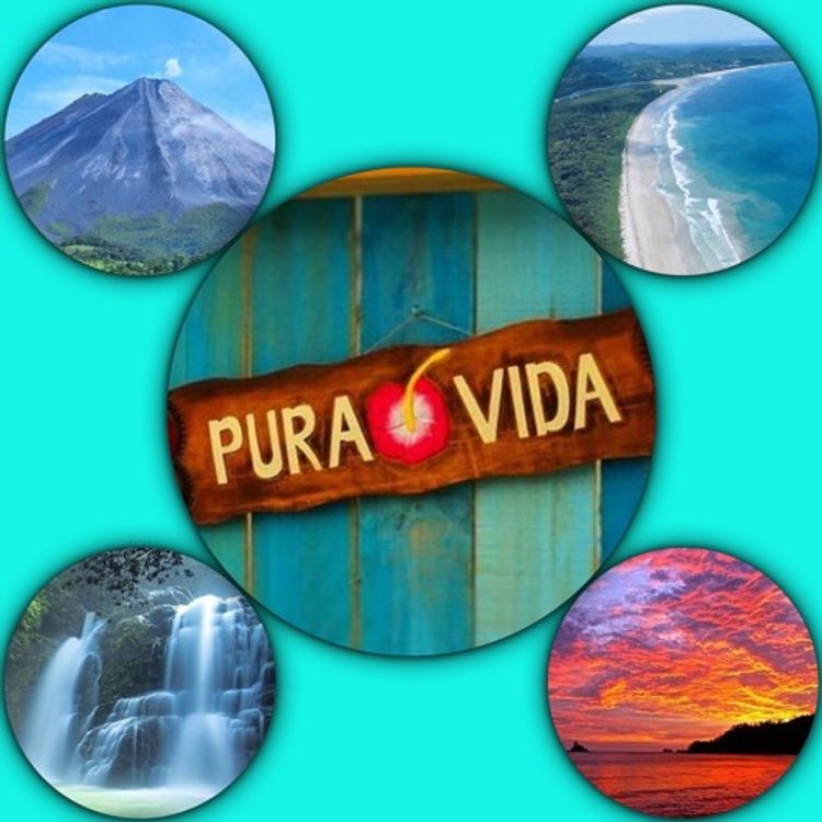 cover art for Summer In Paradise