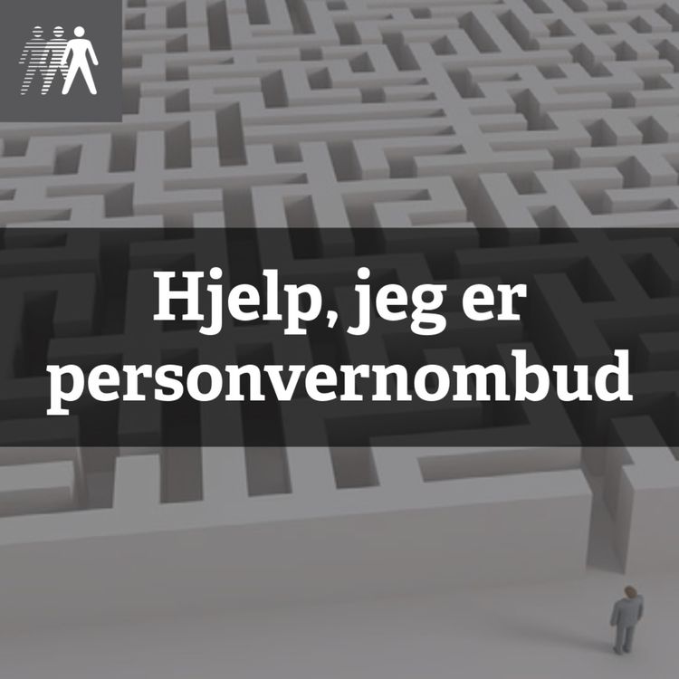 cover art for Hjelp, jeg er personvernombud: Slik lykkes du med etterlevelse i praksis