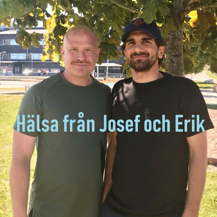 cover art for Hälsa från Josef och Erik
