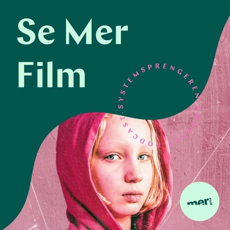 cover art for SYSTEMSPRENGEREN med Kari Killén