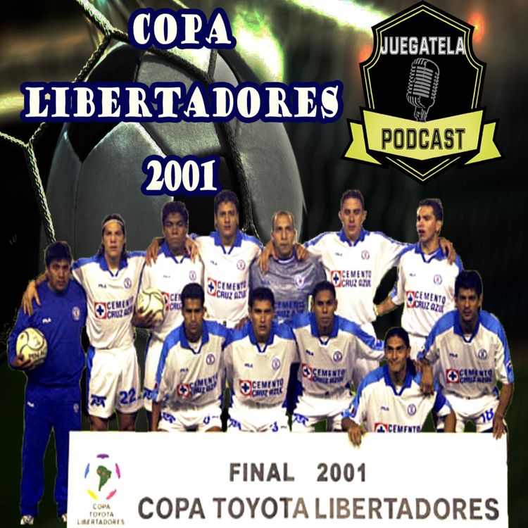cover art for 41-Copa Libertadores 2001