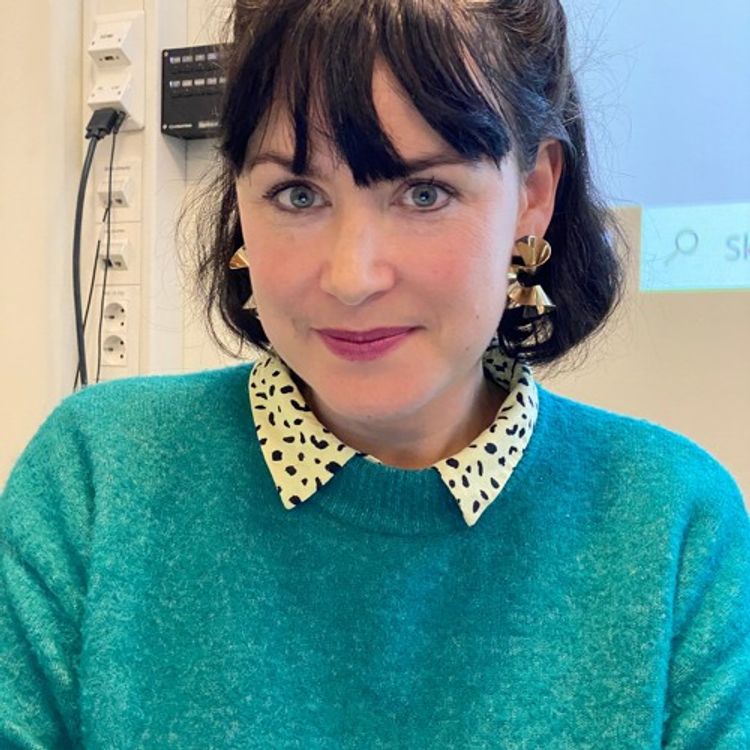 cover art for Bergenskonferansen, Theresa Lindholm i samtale med Torbjørn Torsvik