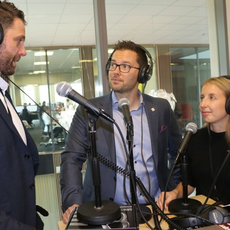 cover art for Hvordan skape et bærekraftig arbeidsliv? JE Aarø, L Rolfsnes, J Wickstrøm og T Torsvik fra PwC