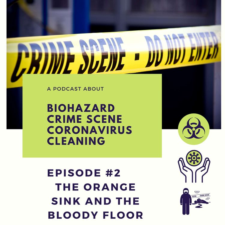 cover art for Episode 2: The Orange Sink and The Bloody Floor