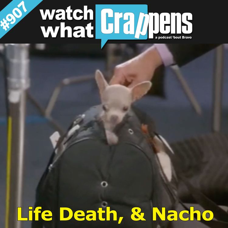 cover art for Mexican Dynasties: Life, Death and Nacho