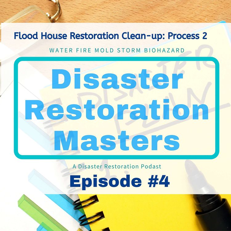 cover art for Water Clean-up Atlanta: Process 2