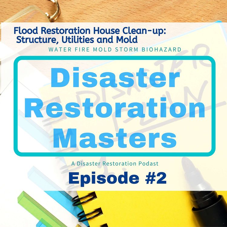 cover art for Flood Restoration House Clean-up: Structure, Utilities and Mold