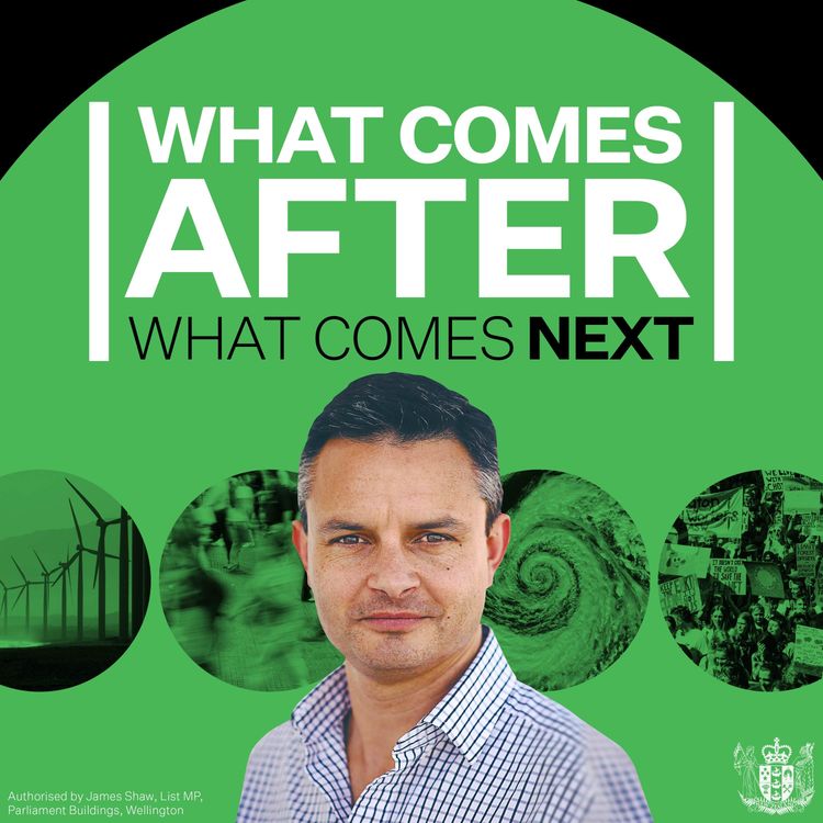 cover art for Polarisation with Ezra Klein