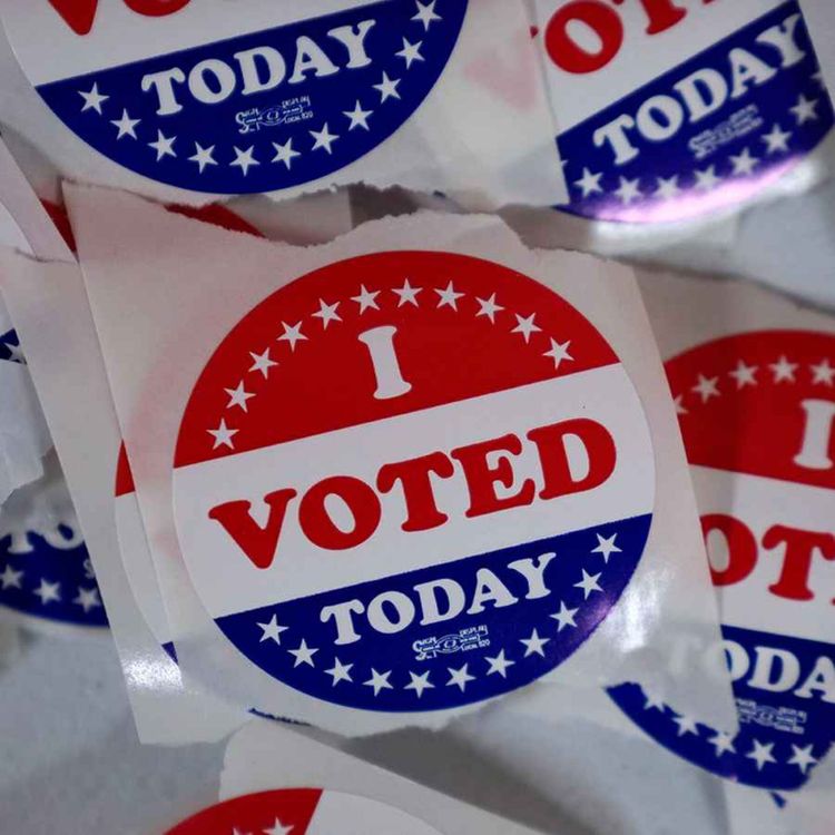 cover art for Poll Worker Confidential