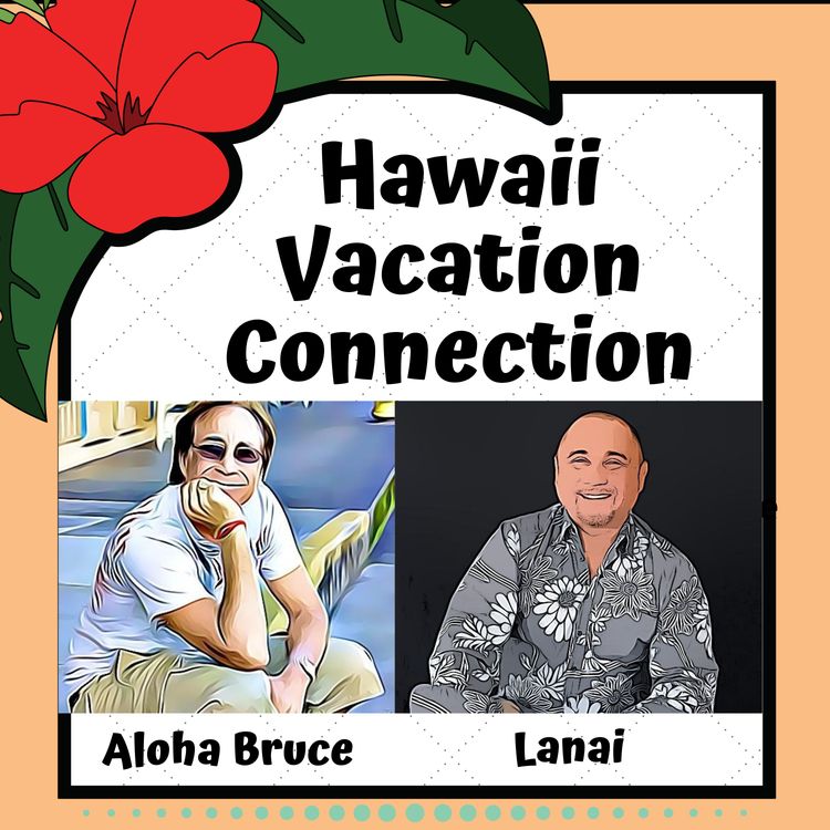 cover art for Hawaii cruises for 2011