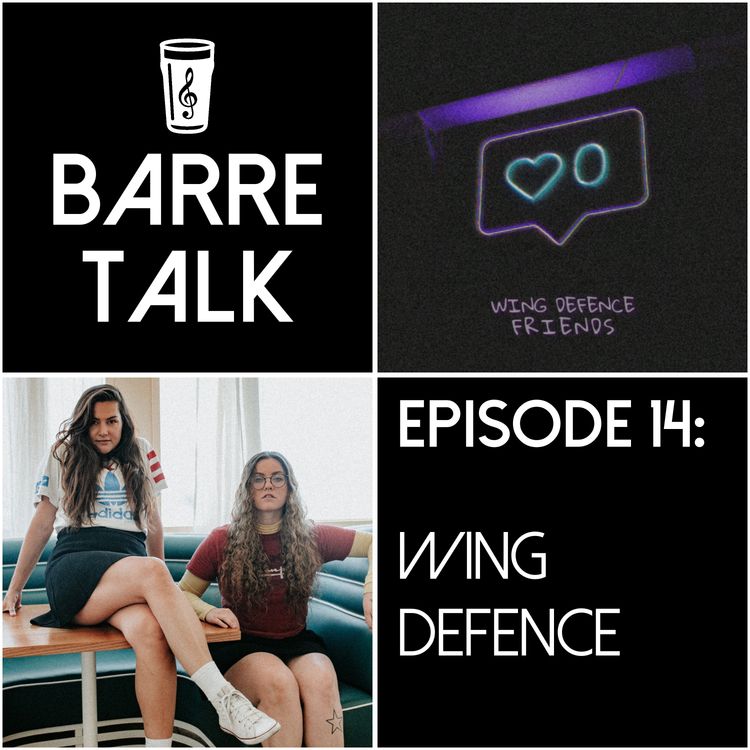 cover art for 14: Wing Defence