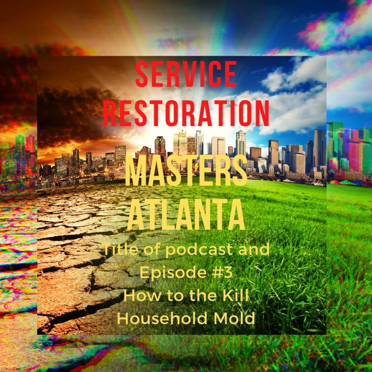 cover art for How to the Kill Household Mold