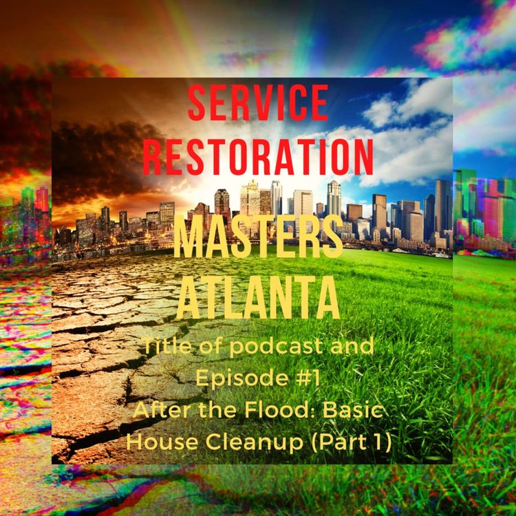 cover art for After the Flood: Basic House Cleanup (Part 1)