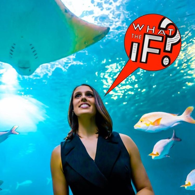 cover art for Welcome Back, ANIMALS! With Biologist Vanessa Pirotta