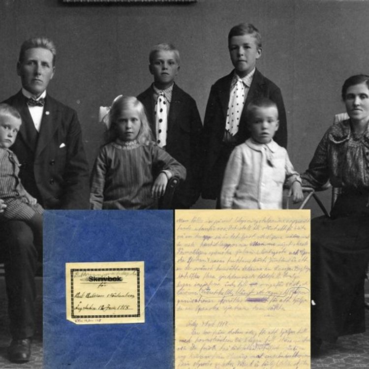 cover art for Spanska sjukan sedd genom en 12 - årig pojkes dagbok