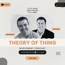 cover art for Theory of Thing Investment Podcast