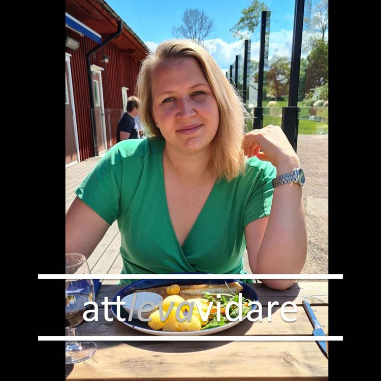 cover art for 5. Petra Lundgren