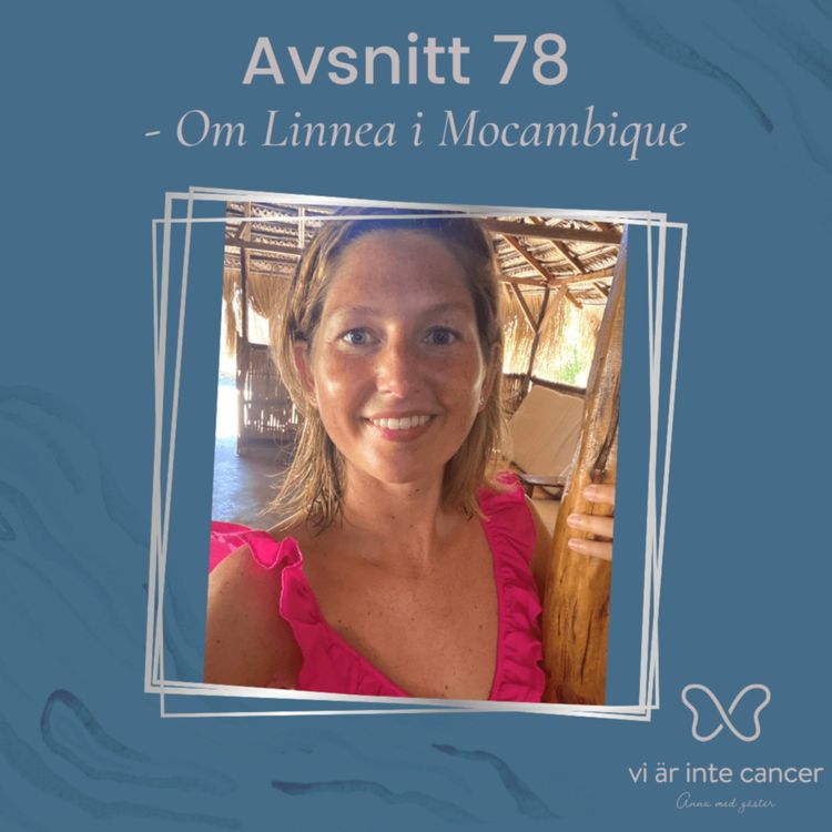 cover art for Om Linnea i Mocambique