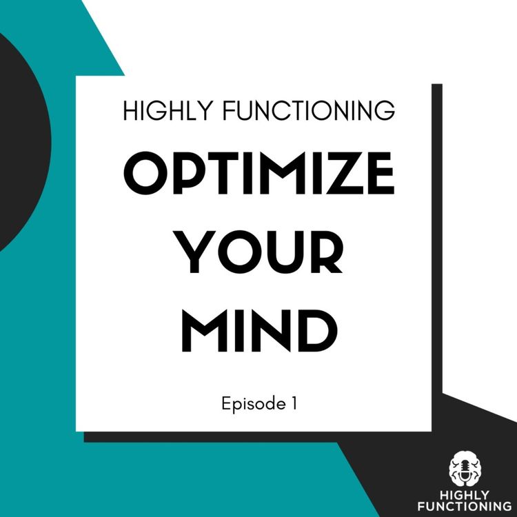 cover art for HIGHLY FUNCTIONING | What Are We Doing Here?