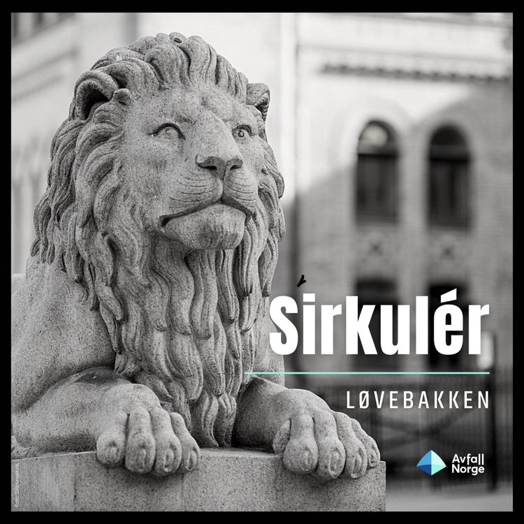 cover art for De store utfordringene