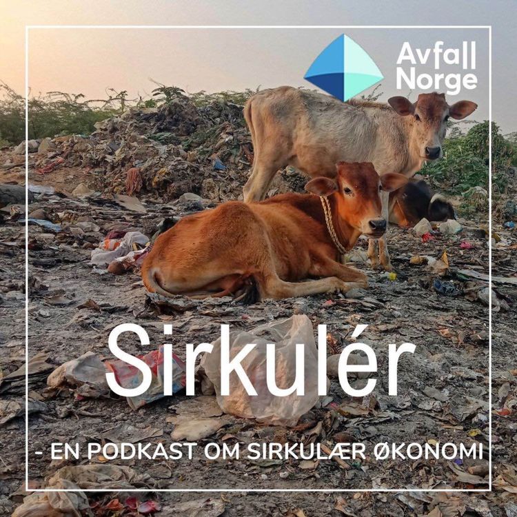 cover art for India - stormakt med avfallsutfordringer