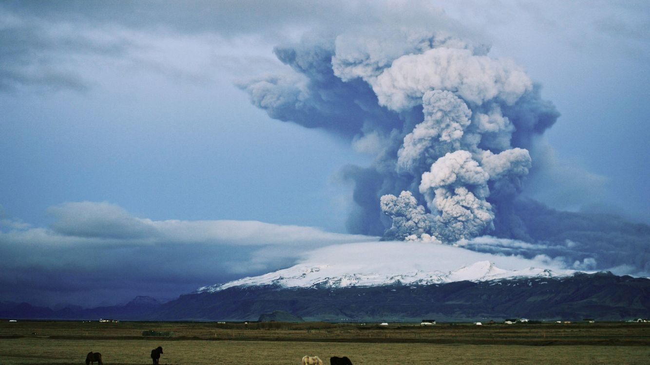 cover art for A Year Of Wonders