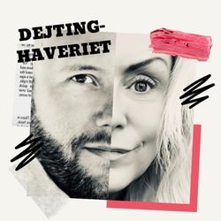 cover art for Dejtinghaveriet