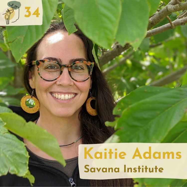 cover art for #34 Building relationships to scale agroforestry with Kaitie Adams