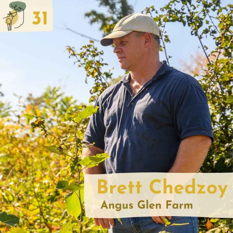 cover art for #31 Designing, planting and managing a silvopasture system with Brett Chedzoy