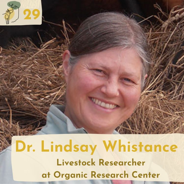 cover art for #29 How trees can increase livestock's welfare and productivity with Lindsay Whistance