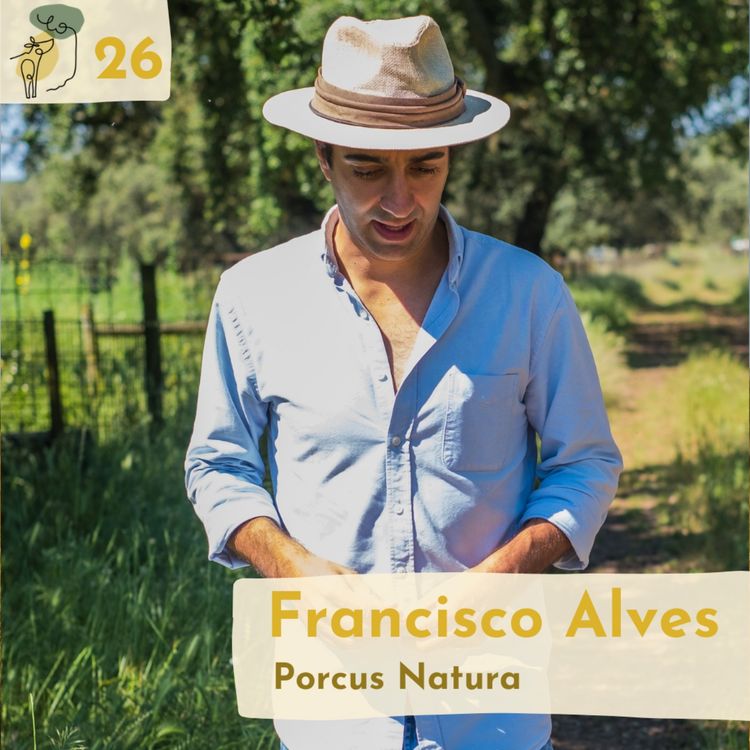 cover art for #26 Holistic grazing and acorn fed pigs in the Portuguese montado with Francisco Alves