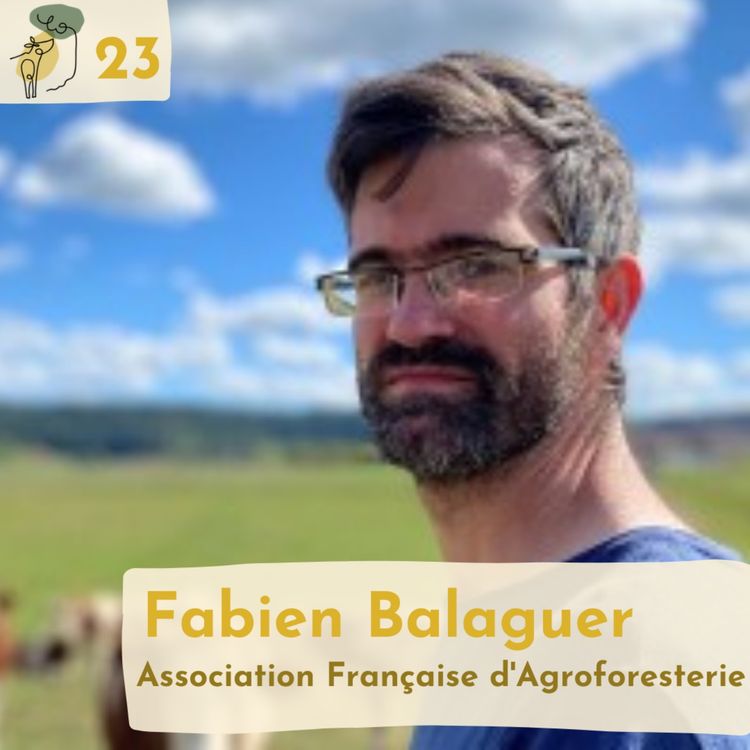 cover art for #23 Scaling agroforestry in France with Fabien Balaguer