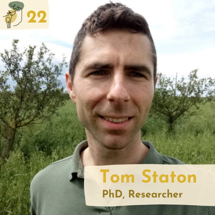cover art for #22 How agroforestry improves farm biodiversity and impacts insect dynamics with Tom Staton 