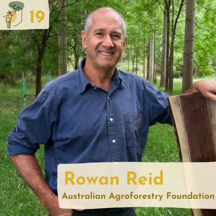 cover art for #19 Planting trees to build capital and reach conservation goals with Rowan Reid