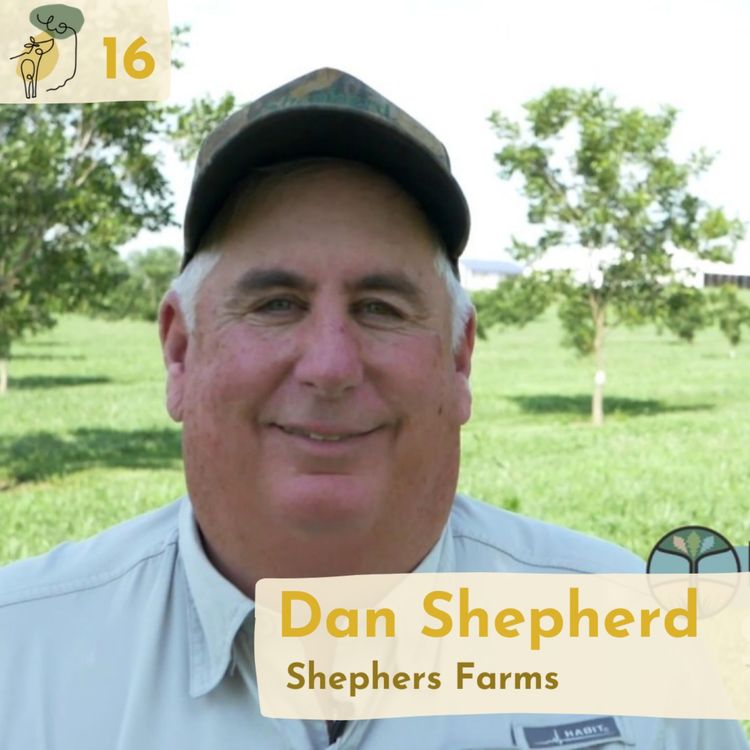 cover art for #16 Feedback from 40 years of pecan intercropping with Dan Shepherd