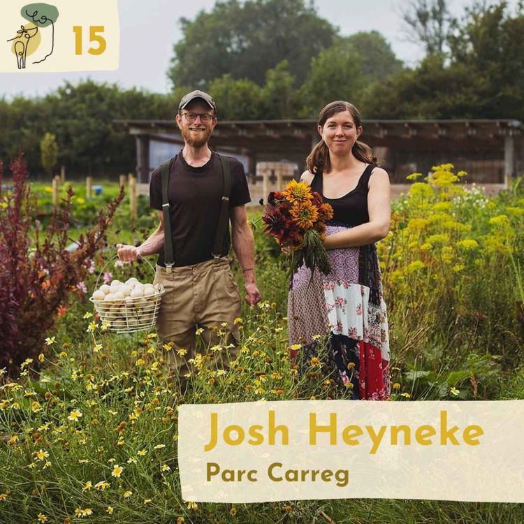 cover art for #15 Ducks and stacking entreprises on a small farm with Josh Heyneke