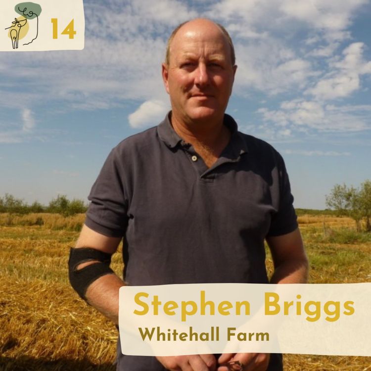 cover art for #14 Integrating fruit trees and arable crops with Stephen Briggs
