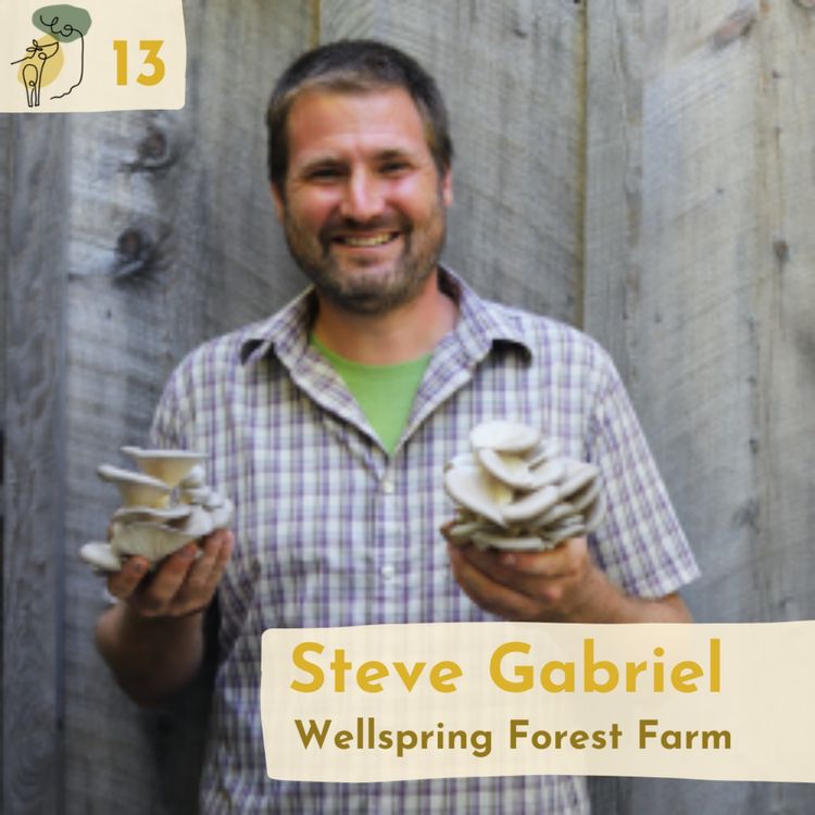 cover art for #13 Sheep silvopasture and farm ecology with Steve Gabriel 