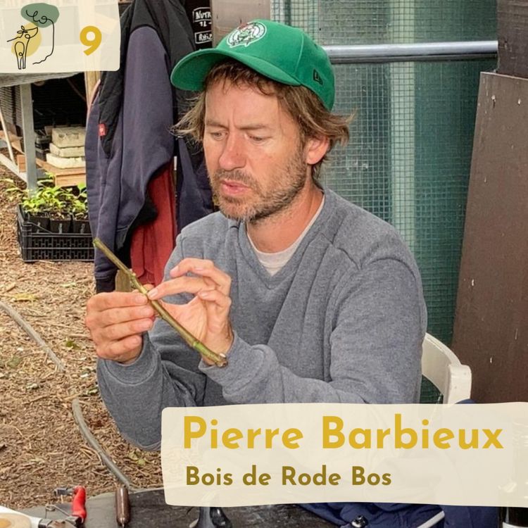 cover art for #9 Selecting fruit tree varieties for climate resilience with Pierre Barbieux