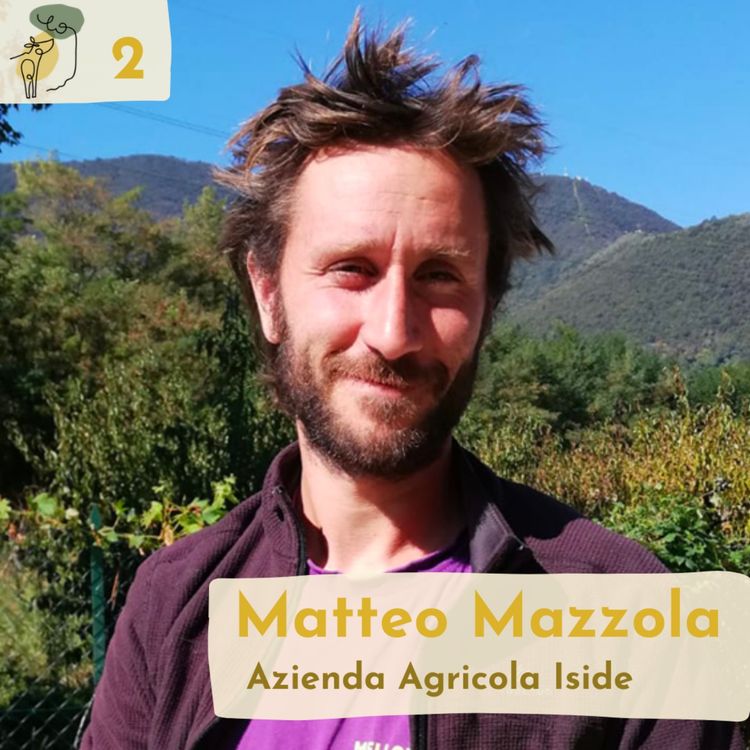 cover art for #2 Innovative agroforestry systems on a diversified CSA farm with Matteo Mazzola