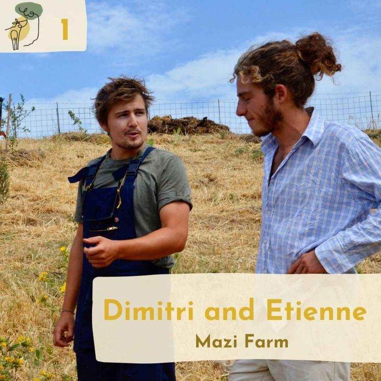 cover art for #1 Our challenges at Mazi Farm and how the podcast came about