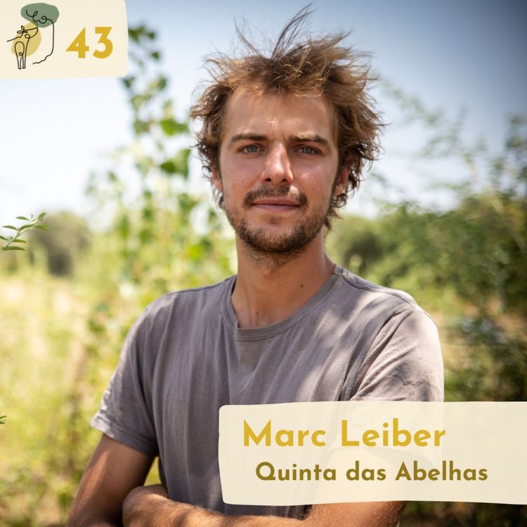 cover art for #43 The story, philosophy and principles of Syntropic Farming with Marc Leiber