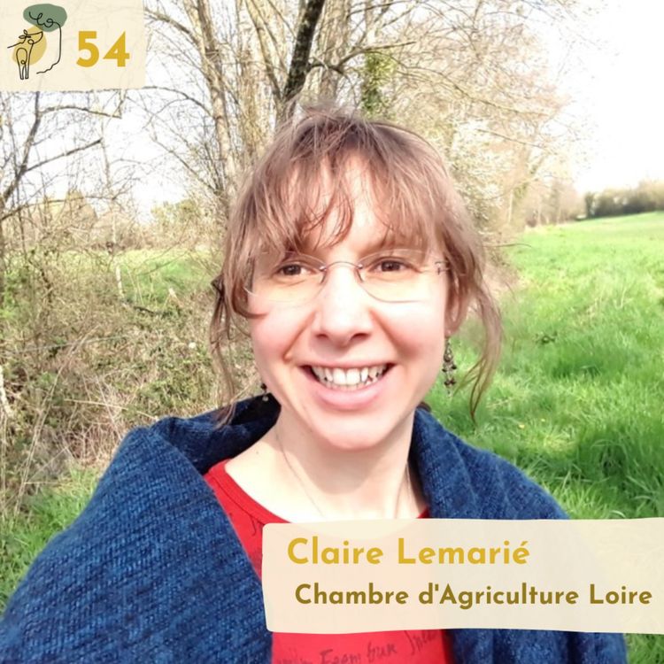 cover art for #54 The importance of peer to peer learning to activate local agroforestry dynamics with Claire Lemarié