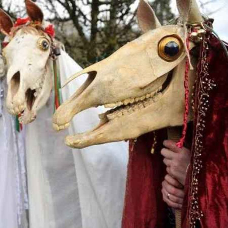 cover art for The legend of mari lwyd