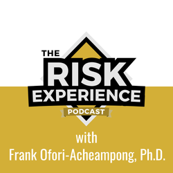 cover art for The Risk Experience Podcast