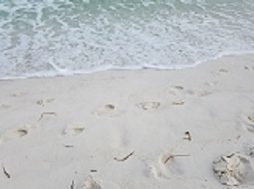 cover art for Prayer for a Wayward Child