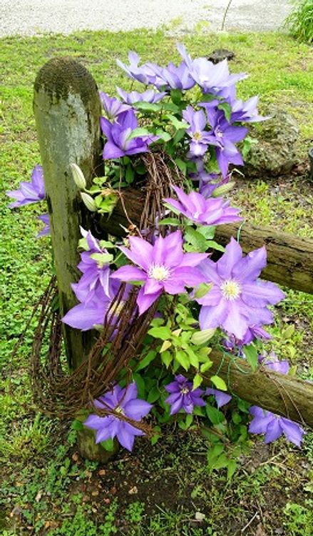 cover art for Tests from the Life of Joseph for those Called to Ministry