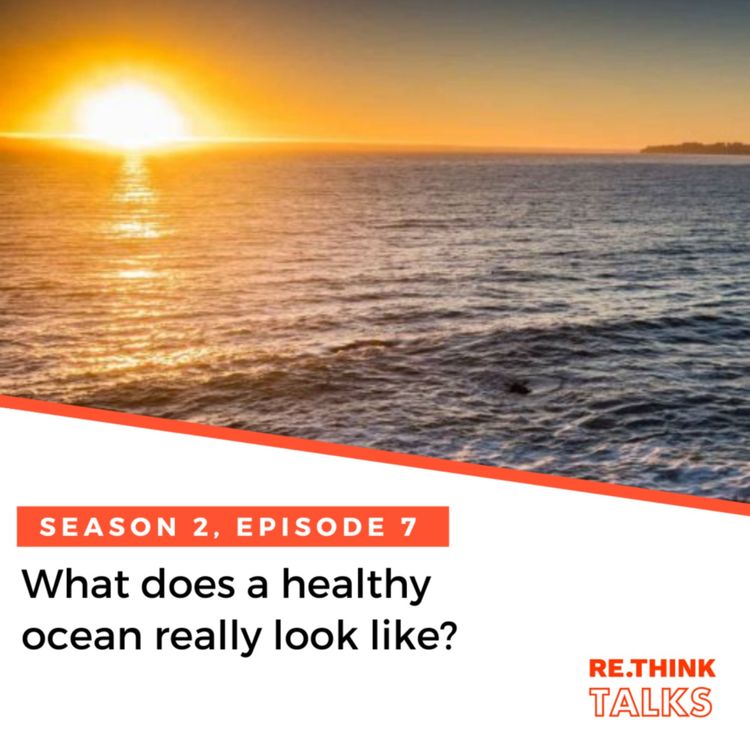 cover art for What does a healthy ocean really look like?