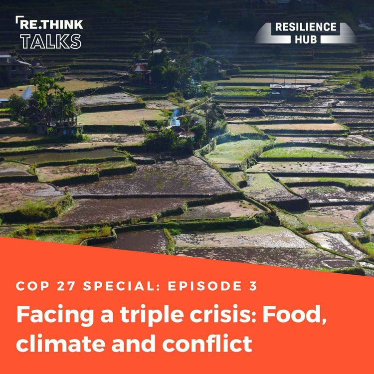 cover art for Facing a triple crisis: Food, climate and conflict 